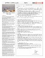 page-5_page-0001 (2)